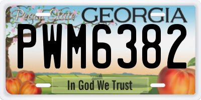 GA license plate PWM6382