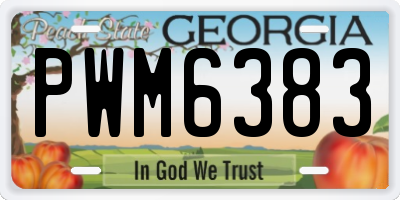 GA license plate PWM6383