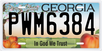 GA license plate PWM6384