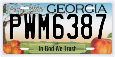 GA license plate PWM6387