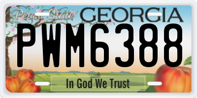 GA license plate PWM6388