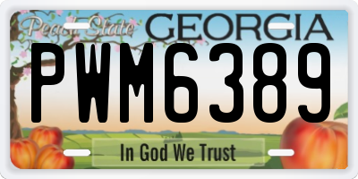GA license plate PWM6389