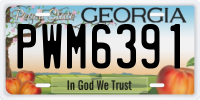 GA license plate PWM6391