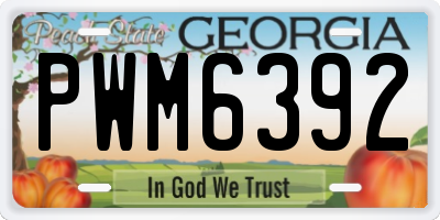 GA license plate PWM6392