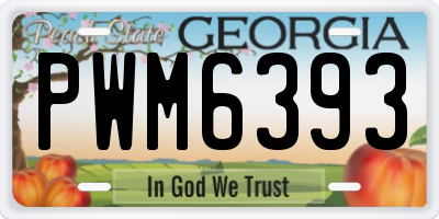 GA license plate PWM6393