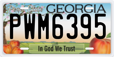 GA license plate PWM6395