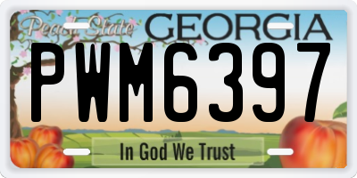 GA license plate PWM6397
