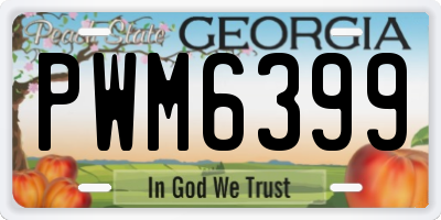 GA license plate PWM6399