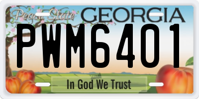 GA license plate PWM6401