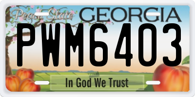GA license plate PWM6403