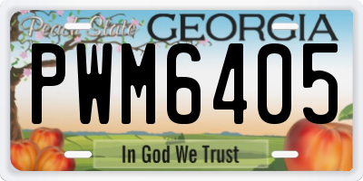 GA license plate PWM6405