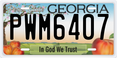 GA license plate PWM6407