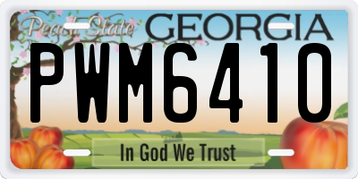 GA license plate PWM6410