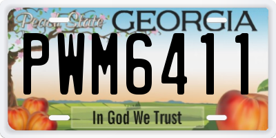 GA license plate PWM6411