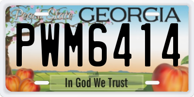 GA license plate PWM6414