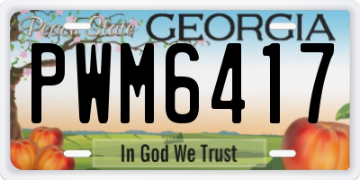 GA license plate PWM6417