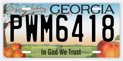 GA license plate PWM6418