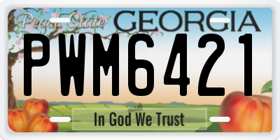 GA license plate PWM6421