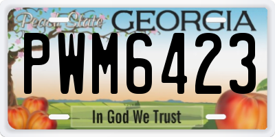 GA license plate PWM6423
