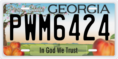 GA license plate PWM6424