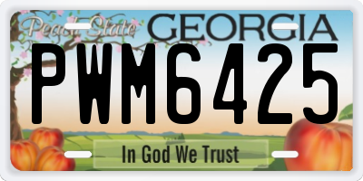 GA license plate PWM6425