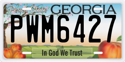GA license plate PWM6427