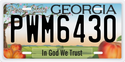 GA license plate PWM6430