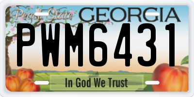 GA license plate PWM6431