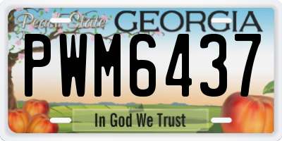 GA license plate PWM6437