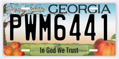 GA license plate PWM6441