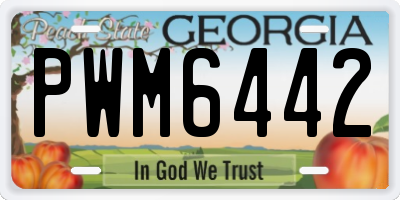 GA license plate PWM6442