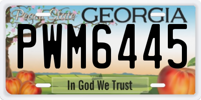GA license plate PWM6445