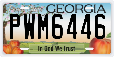 GA license plate PWM6446