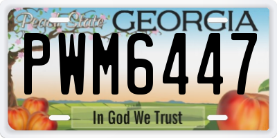 GA license plate PWM6447