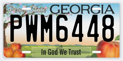 GA license plate PWM6448