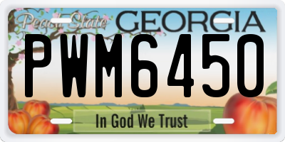 GA license plate PWM6450