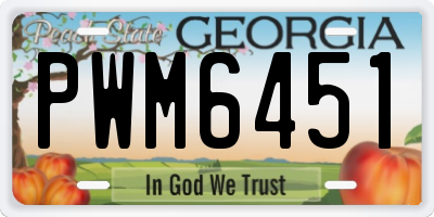GA license plate PWM6451