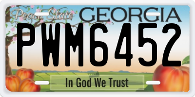 GA license plate PWM6452