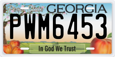 GA license plate PWM6453