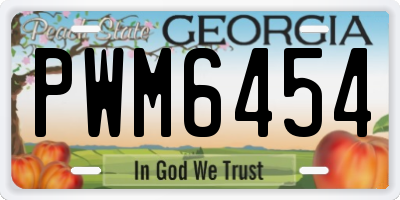 GA license plate PWM6454