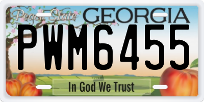 GA license plate PWM6455