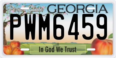 GA license plate PWM6459