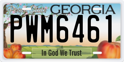 GA license plate PWM6461