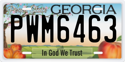 GA license plate PWM6463