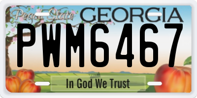 GA license plate PWM6467