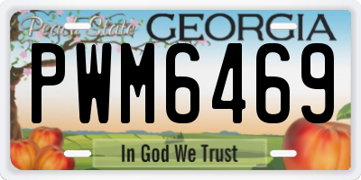 GA license plate PWM6469