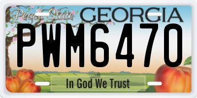 GA license plate PWM6470