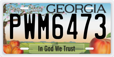GA license plate PWM6473