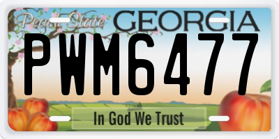 GA license plate PWM6477