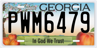 GA license plate PWM6479